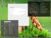 Cinnamon Cinnamon 2.8